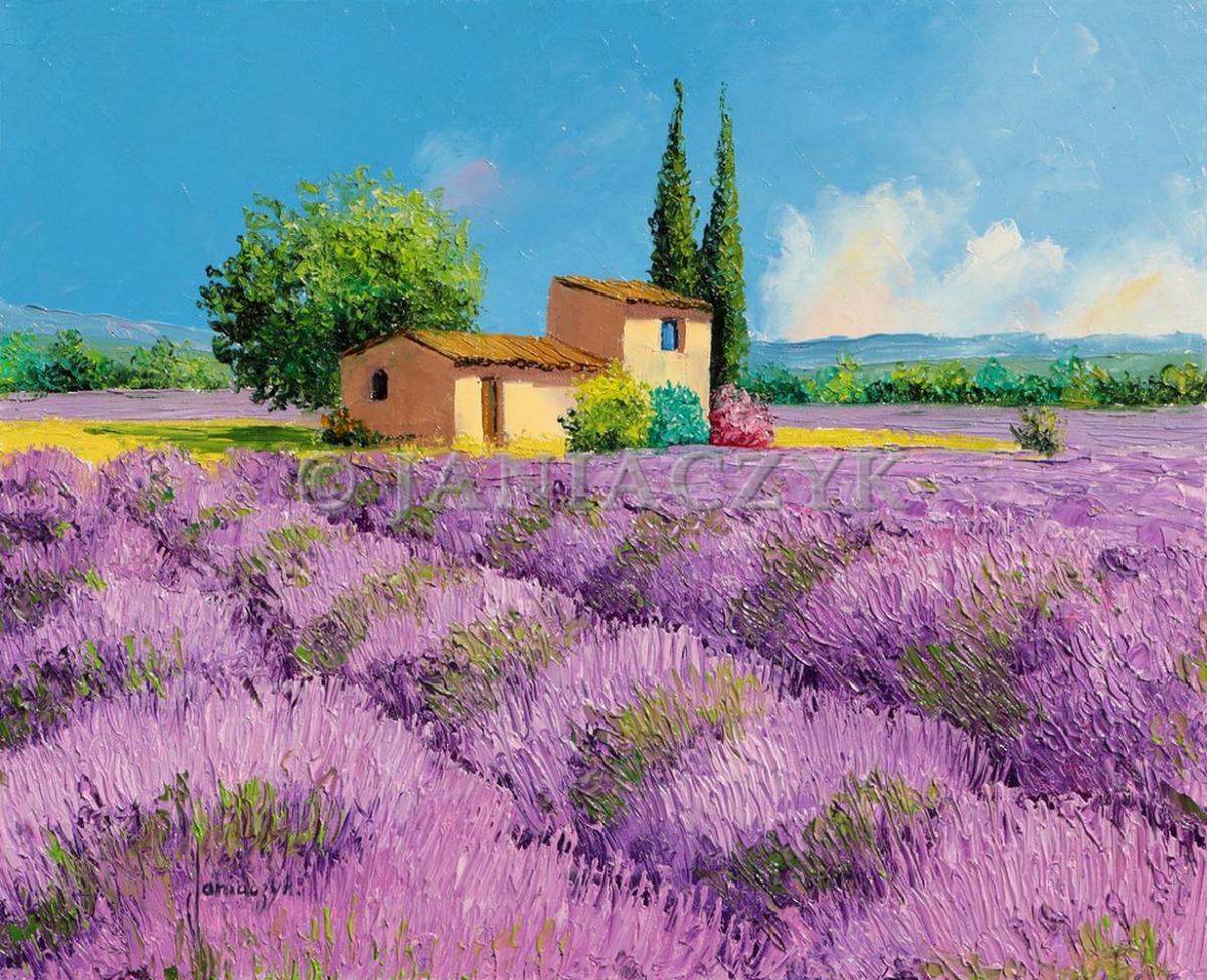 Humble lavender farm lavender field painting by Jean_Marc Janiaczyk